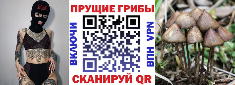 Галлюциногенные грибы Magic Shrooms  Котельники 